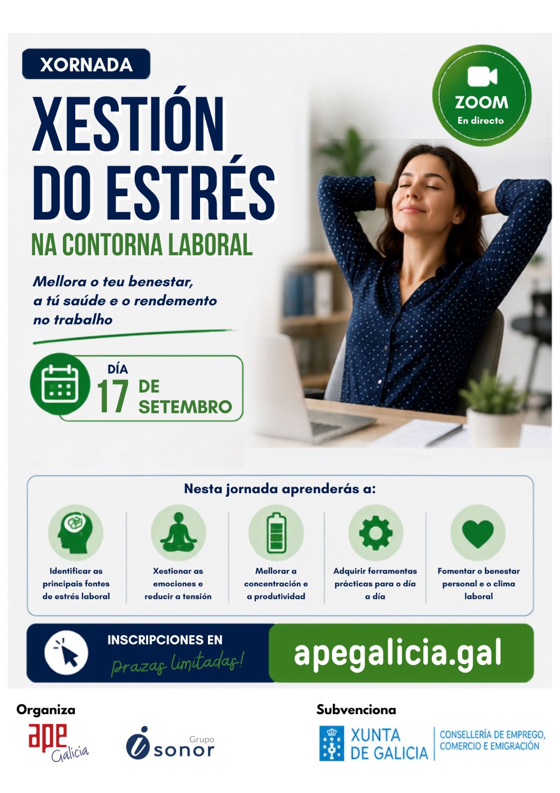 ApE Galicia Cartel Jornada online IA 